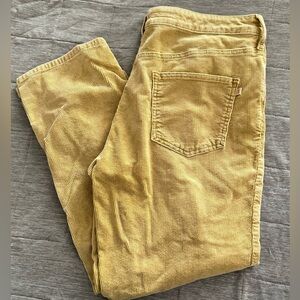 Women’s Pilcro Pants by Anthropologie